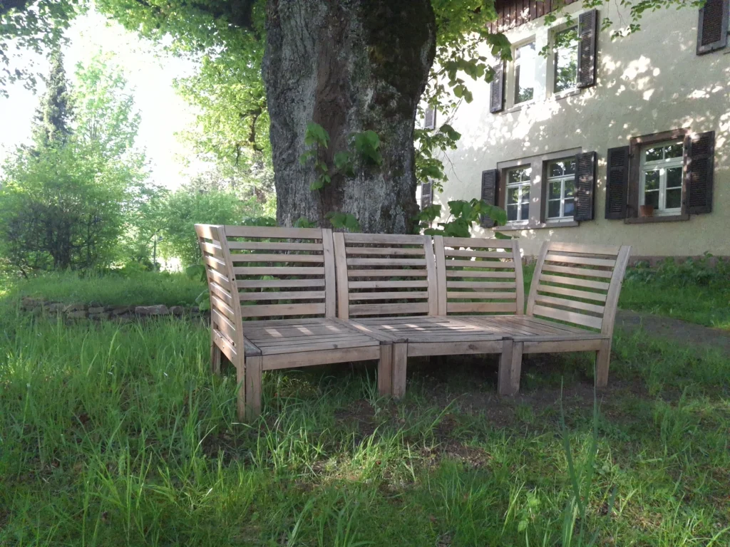 Holzbank zum Ausruhen unter einer 160 Jahre alten Linde im Nordschwarzwald