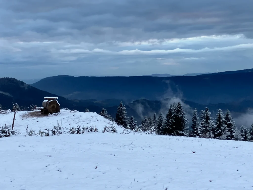 Verschneite Landschaft im Nordschwarzwald – Symbol für Online-Beratung bei schwieriger Anreise