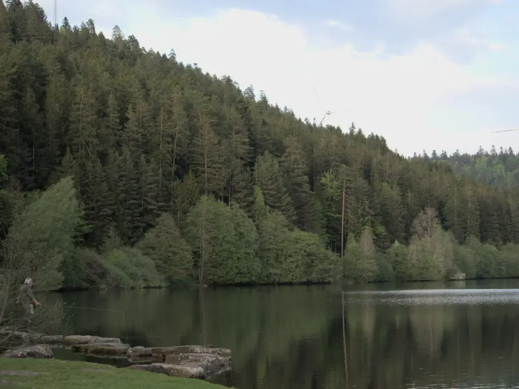 See bei der Erzgrube im Schwarzwald – ruhige Landschaft als Sinnbild für Entlastung bei Erschöpfung Ruhiger See im Schwarzwald bei der Erzgrube, umgeben von dichtem Nadelwald und Hügeln