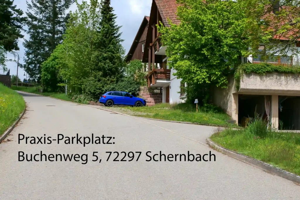 Praxisgebäude mit Parkplatz am Buchenweg 5 in 72297 Seewald-Scherbach