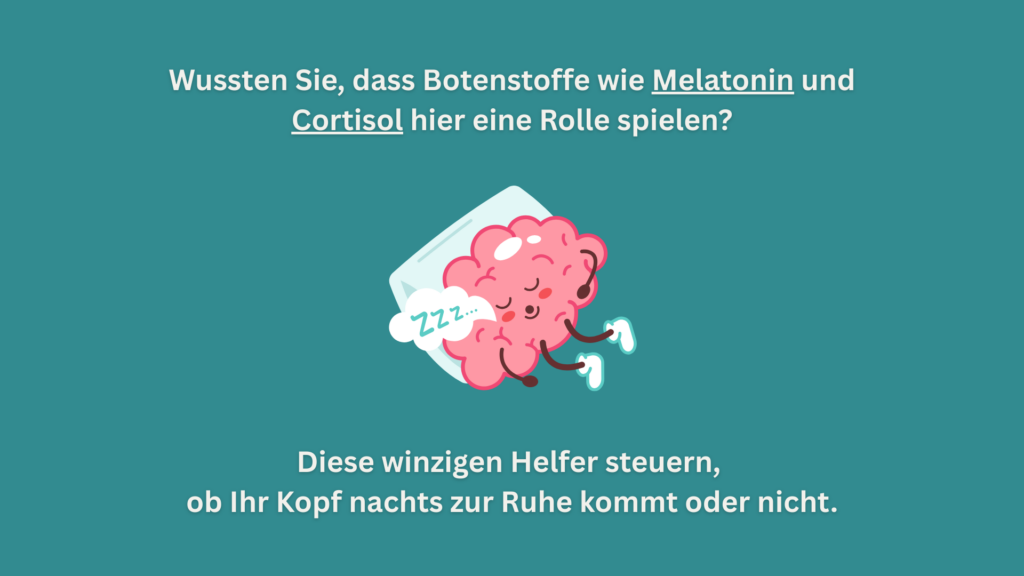 Illustration erklärt Rolle von Melatonin und Cortisol beim Gedankenkarussell nachts