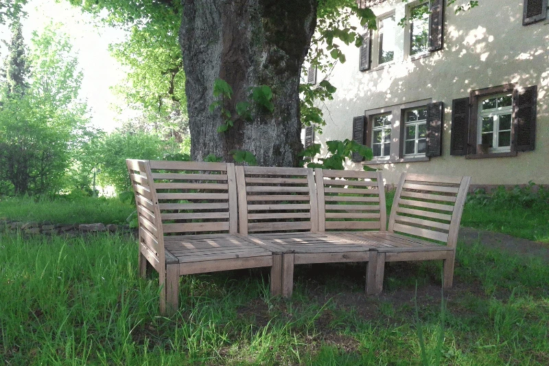 Holzbank unter Baum als Symbol für Pause und innere Erschöpfung Leere Holzbank in der Natur – ein Bild für innere Leere bei depressiver Verstimmung