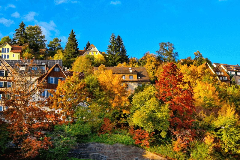 Herbstlicher Blick auf Altensteig im Nordschwarzwald Angst vor Krankheiten – herbstliches Altensteig im Nordschwarzwald als Ort der Ruhe und Begleitung