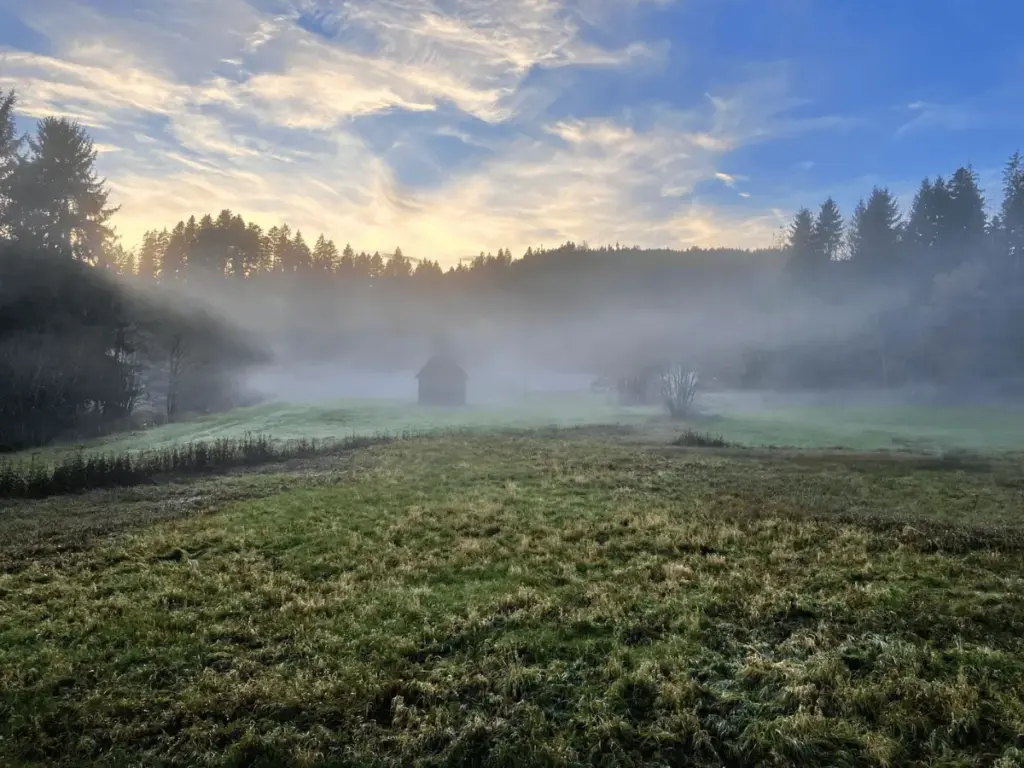 Morgennebel an der Erzgrube in Seewald – Symbol für Hoffnung bei Panik und innerer Enge Eine einsame Holzhütte im Morgennebel an der Erzgrube in Seewald, beleuchtet von den ersten Sonnenstrahlen – Symbol für Hoffnung und Neubeginn.