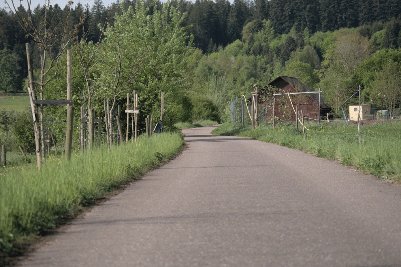 Therapeutischer Ansatz bei generalisierter Angst – Begleitung im Nordschwarzwald Generalisierte Angst Therapie Nordschwarzwald – klarer Weg symbolisiert therapeutische Begleitung in Seewald