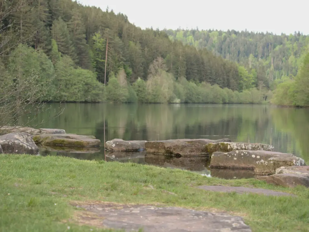 Hilfe bei Panikattacken – Ruhe finden an der Nagoldtalsperre bei Seewald Hilfe bei Panikattacken: Steine im ruhigen Wasser der Nagoldtalsperre bei Seewald – ein Symbol für Ruhe und Stabilität