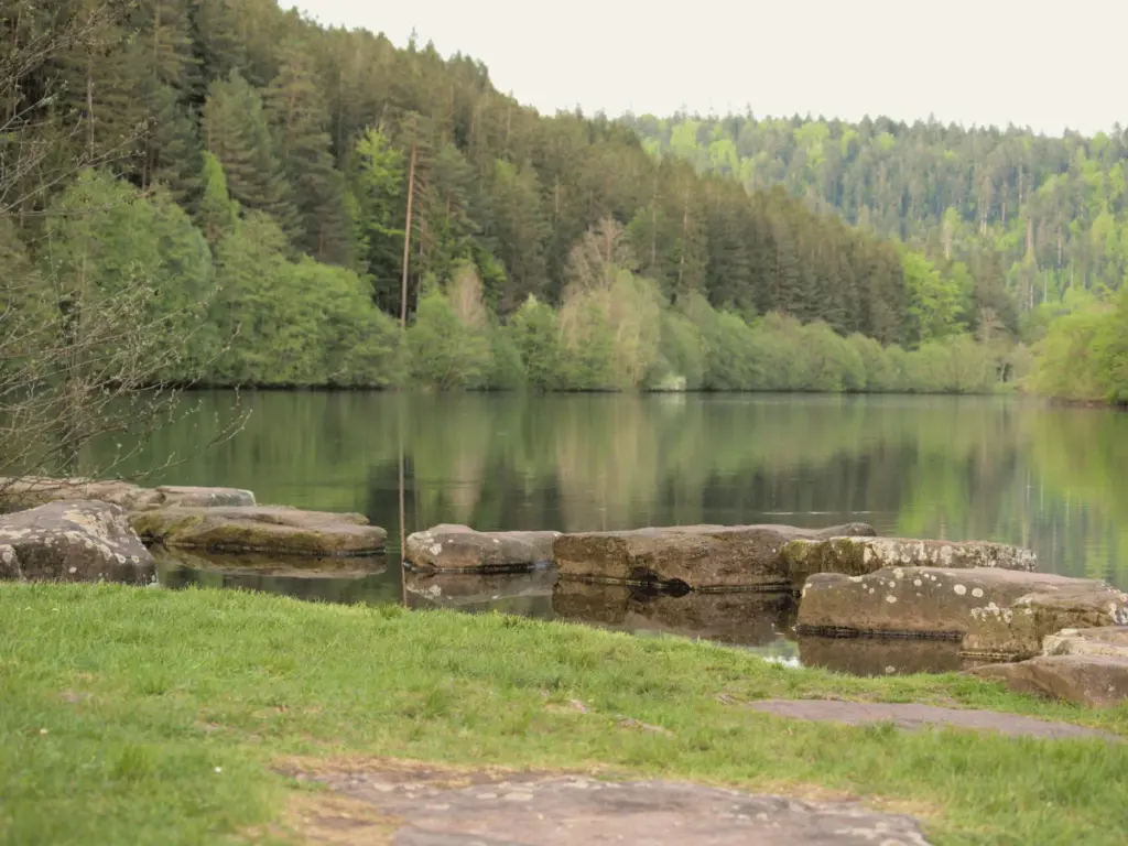 Moosbedeckte Steine ragen ins stille Wasser an der Erzgrube – Orientierung für das Nervensystem finden