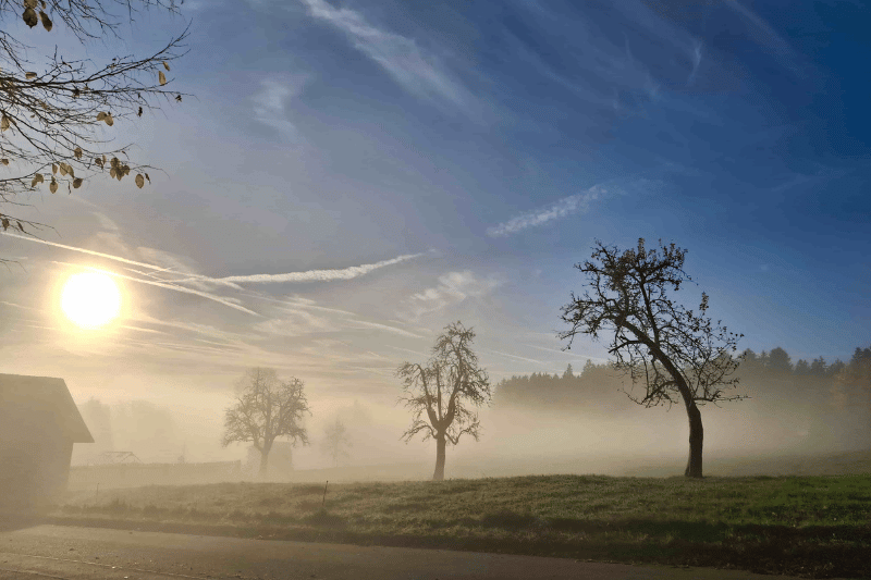Klarheit nach Angst – Morgennebel im Nordschwarzwald Morgendämmerung im Nordschwarzwald: Nebel lichtet sich über Wiese – Metapher für Klarheit nach Angstbehandlung mit Biofeedback