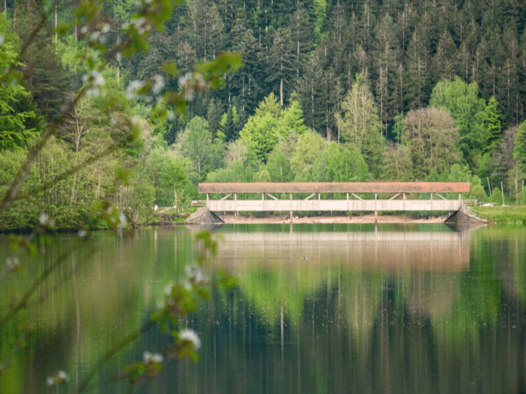 Holzbrücke spiegelt sich im stillen Wasser an der Erzgrube – Körpersignale erkennen bedeutet, innezuhalten