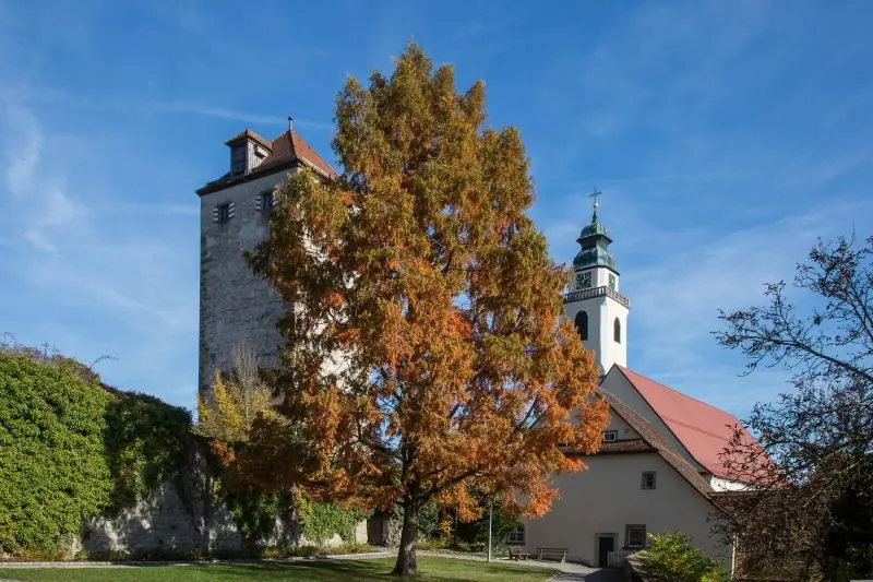 Ausblick bei Horb am Neckar depression-horb-therapie-innere-ruhe-finden