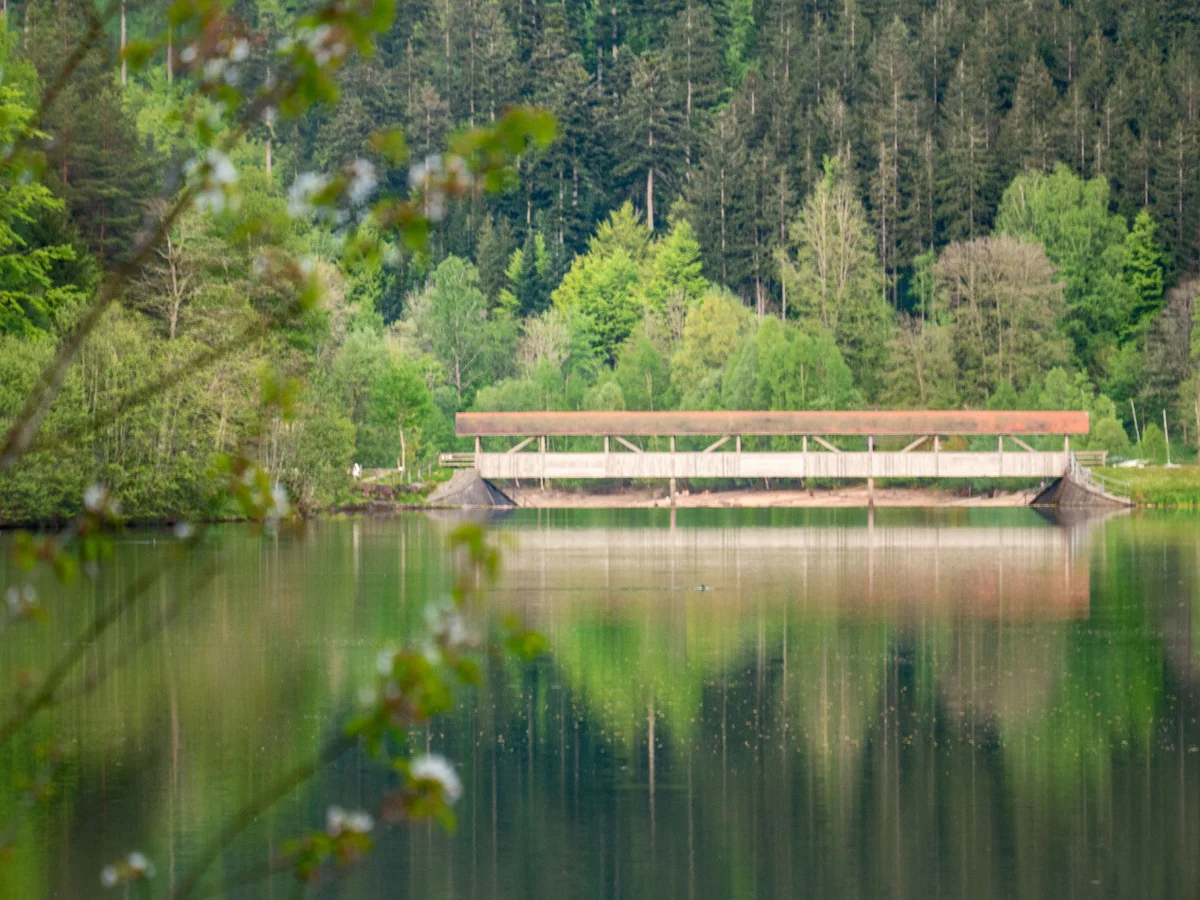 Holzbrücke über die stille Nagoldtalsperre bei Erzgrube – Sinnbild für den ersten Schritt beim Überwinden sozialer Ängste